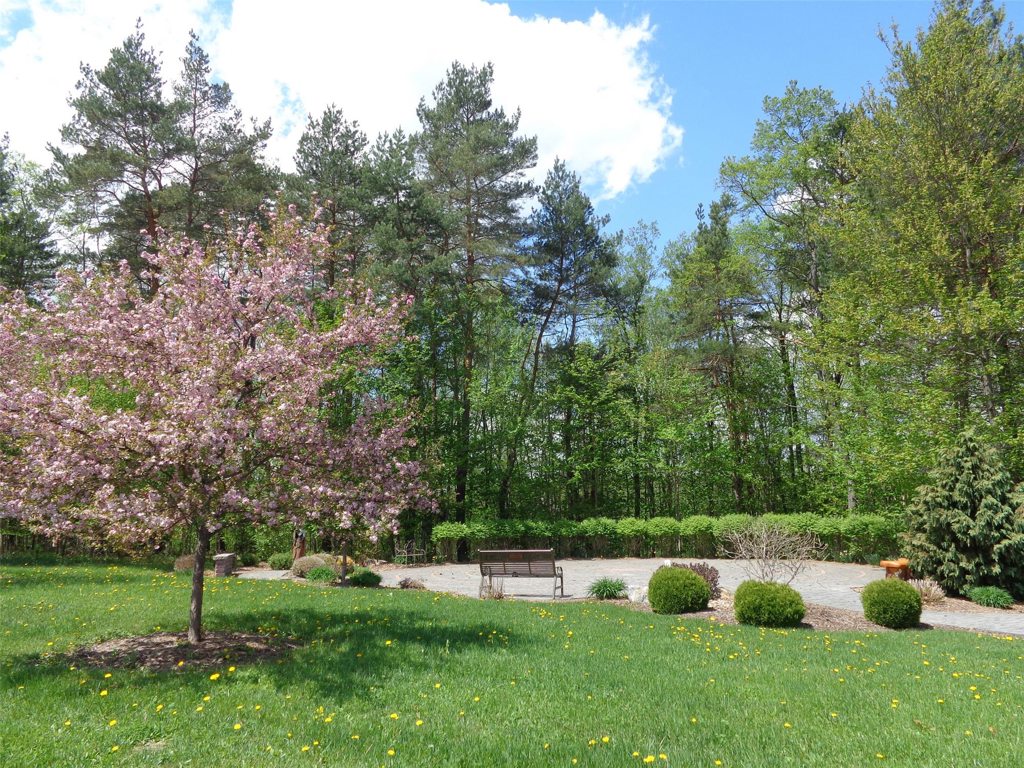 serenity garden in spring